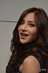 Angela Krislinzki at Rogue Movie Trailer Launch